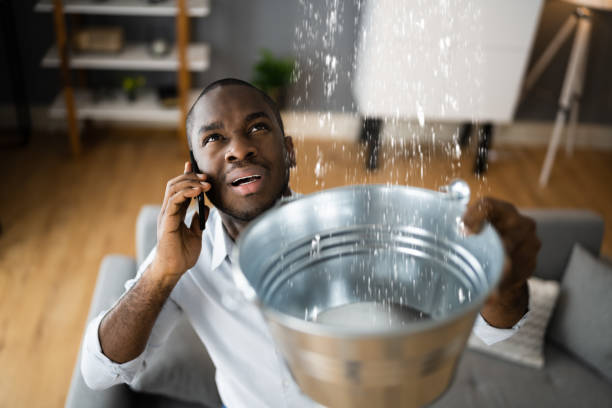 Best Flooded house restoration  in Bartlett, IL