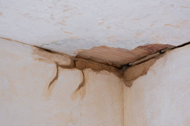 Best Water damage restoration services  in Bartlett, IL