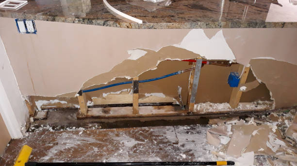  Bartlett, IL Water damage restoration Pros