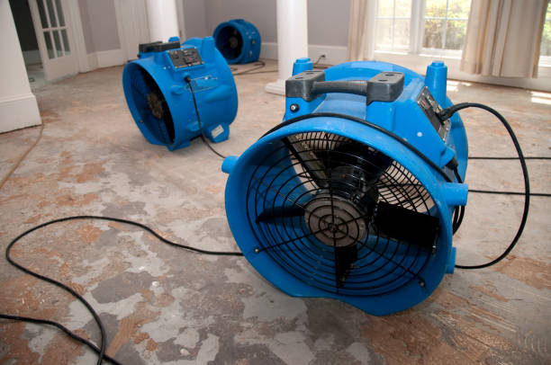 Best Basement water damage restoration  in Bartlett, IL