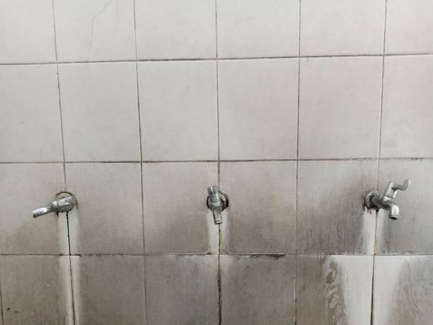 Best Mold removal after water damage  in Bartlett, IL
