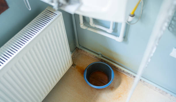 Best Carpet water damage restoration  in Bartlett, IL