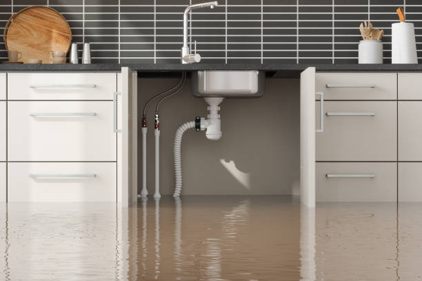 Best Commercial water damage restoration  in Bartlett, IL