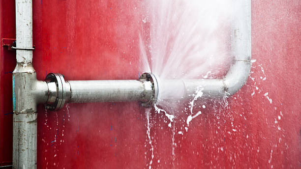 Best Flood damage cleanup  in Bartlett, IL