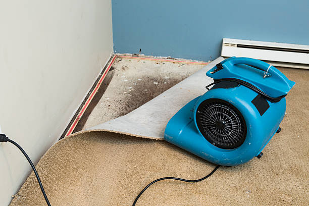 Best Water damage restoration specialists  in Bartlett, IL